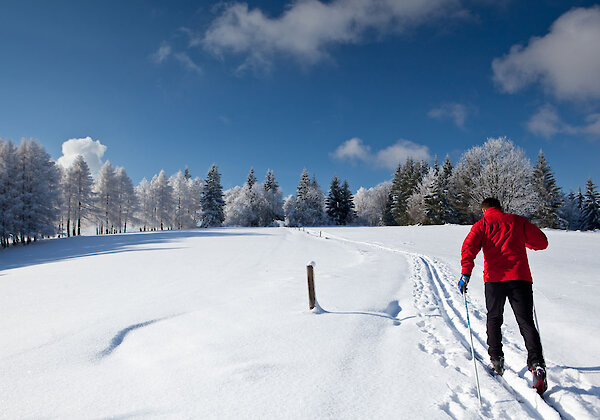 Langlaufen in Frauenau
